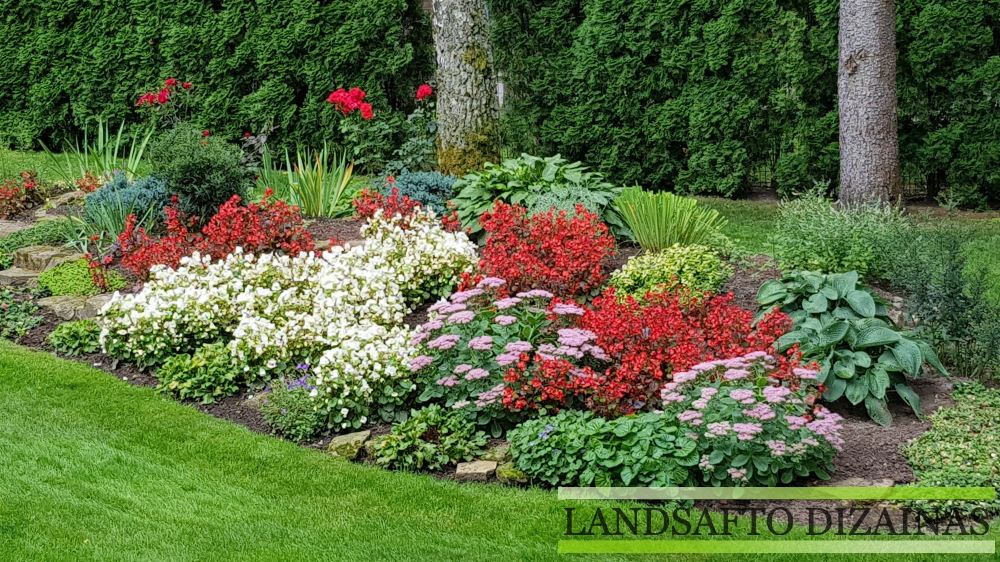 Gėlynų įrengimas: nuo planavimo iki žydėjimo