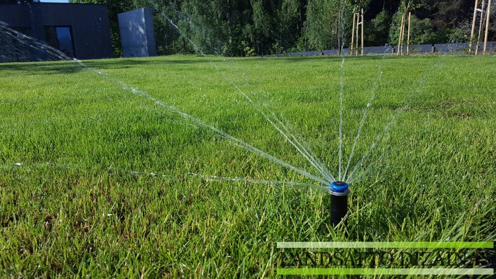 Kaip išsirinkti geriausią vejos laistymo sistemą