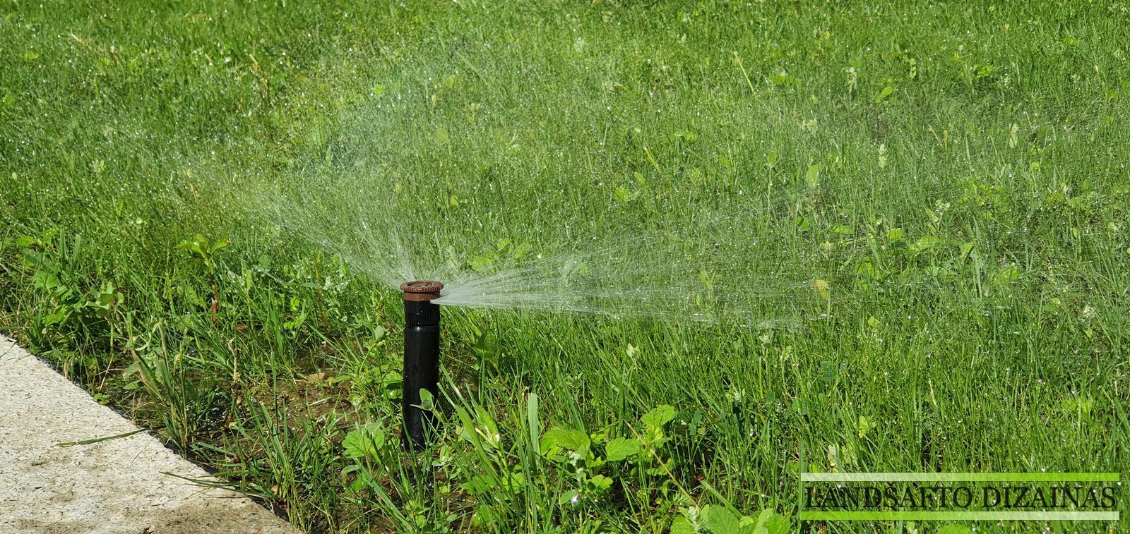 Automatinio laistymo įrengimas Vilniuje: ką reikia žinoti?