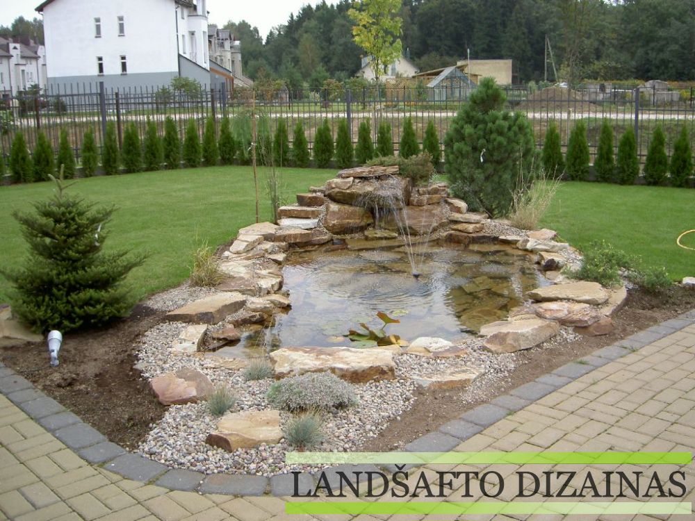 Vandens telkinio priežiūra sode: kaip palaikyti švarų tvenkinį