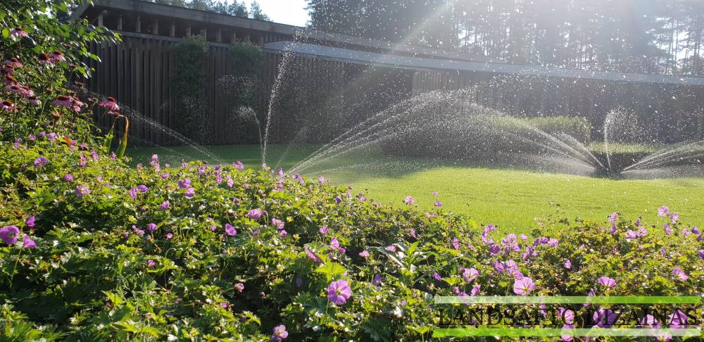 Vejos ir augalų laistymo sistema: Automatizavimo Magija