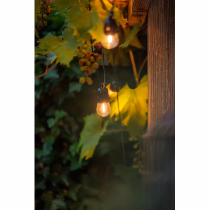 12V girlianda Filament – 3 nuotrauka