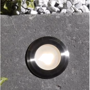 Įleidžiamas šviestuvas Larch 1W LED