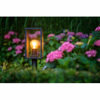 Takelio šviestuvas Limosa 70 su skaidria LED lempute – 3 nuotrauka