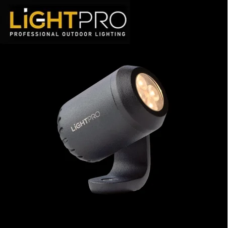 Juno 4 – Garden Lights – 2 nuotrauka